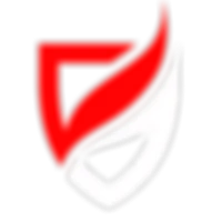 BULLETPROOF TRAINING SYSTEMS INC.