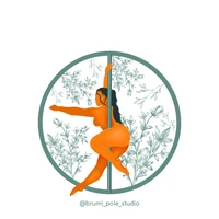 Brumi's Pole Studio