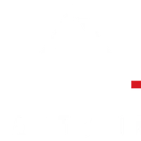 Brave Martial Arts Institute Inc.