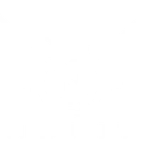 Team Nbfit