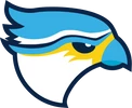 Cardiff Merlins Baseball Club
