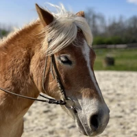 Espace Equestre Du Val Khyri