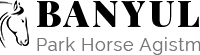 Banyula Park Horse Agistment