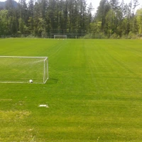 Lions Field