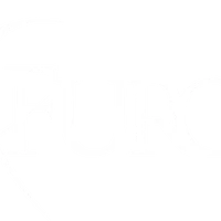 Furor Pune Salsa