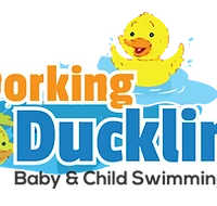 Dorking Ducklings
