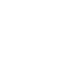 Silver Wolf Kickboxing