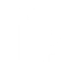 DP Boxing