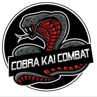 Cobra Kaï Combat