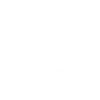 Delphine Barré - Business & Mindset Coach| Conversion Business | Entrepreneurship Female | Money Mindset