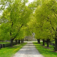 Waymark Farms Inc