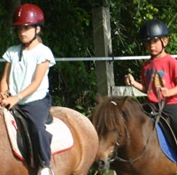 Equestrian Center Océan-Pays De Monts