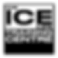 The Ice Life