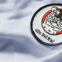 St Albans Karate