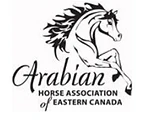 Arabian Horse Association of Eastern Canada