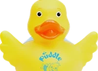 Puddle Ducks Lincoln and surrounding areas