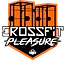 CrossFit Pleasure