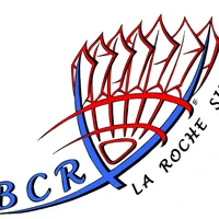 Badminton La Roche sur Yon