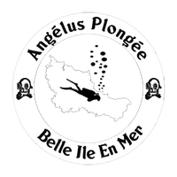Angélus Plongée