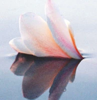 Yoga et Sophrologie