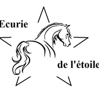 Écurie de l'Étoile 29