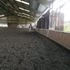 Seaforth Riding Centre