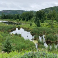 Oliver Lake public beach