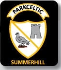 Park Celtic Summerhill FC - Summerhill pitch