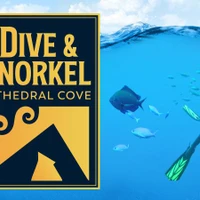 Cathedral Cove Dive & Snorkel