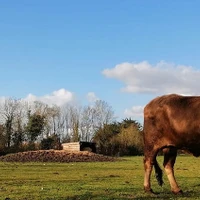L'îlot Zanimo, Ferme Pédagogique Equestre