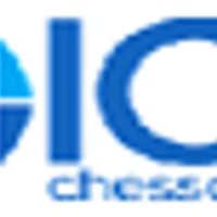 Chess professional chess academy