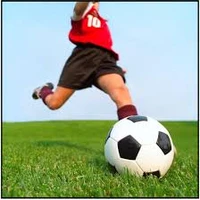 Terrains de soccer