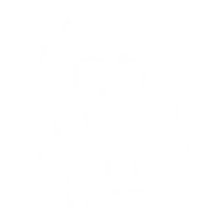 Steph Wall Yoga