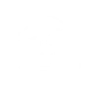 The Vitality Project