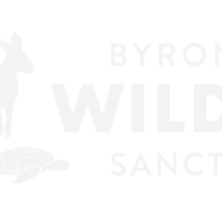 Byron Bay Wildlife Sanctuary