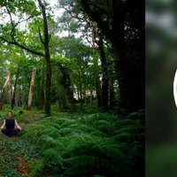 Zen Balance