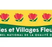 Tournesol Beausoleil Pool