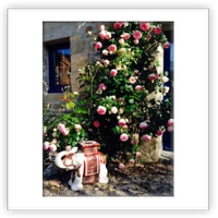 Charming guest rooms The Domaine de Saint-Thomin