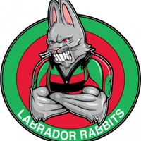 Labrador Rabbits Oztag Club