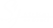 S J Academy of Dance