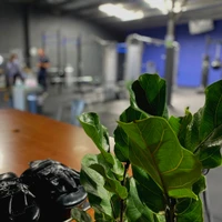 Highlander Personal Training Studio