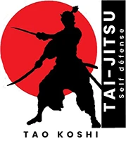 Taokoshi, Club De Taï-Jitsu De Neuville-Sur-Saône