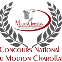 Os Mouton Charollais