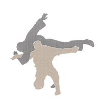 Martial Arts Biddulph - CKK Bu-Jutsu Kai
