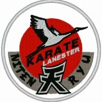 karate lanester