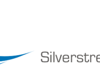 Silverstream Swim Academy