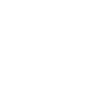 Project LVLUP (formerly known as HIIT Kawana)