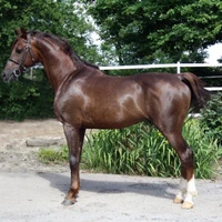 Cabrol Didier Jean Marie