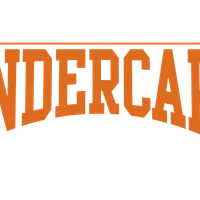 Undercard