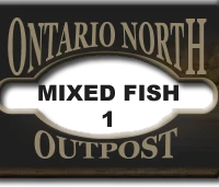 Ontario North Outpost